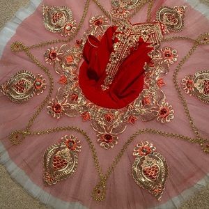 Professional 40 in platter tutu, never worn was for YAGP
